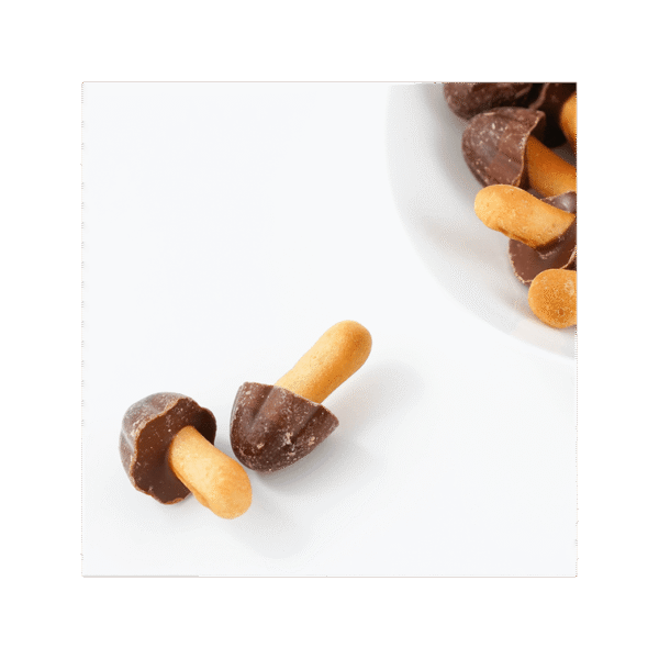Mushroom Mountain Chocolate Cookies Baked Chocolate Wheat Cracker 74g
