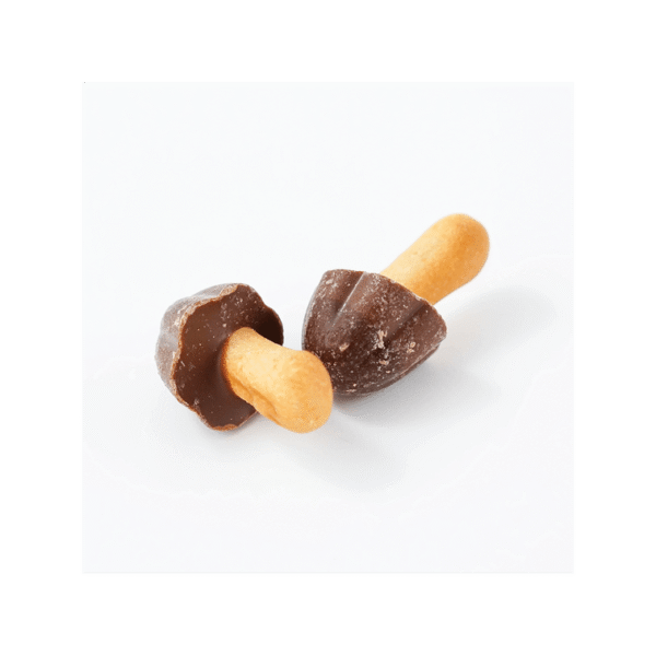 Mushroom Mountain Chocolate Cookies Baked Chocolate Wheat Cracker 74g