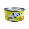 NFC Tuna Chunks in Oil 170g